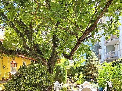 6725 Szeged Boldogasszony sugárút 50. apartman szállás