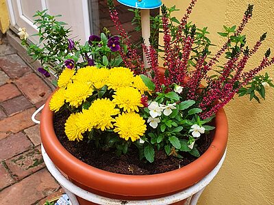 6725 Szeged Boldogasszony sugárút 50. apartman szállás