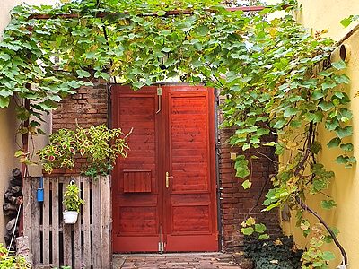 6725 Szeged Boldogasszony sugárút 50. apartman szállás