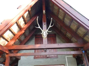 Szentes apartman kiadó