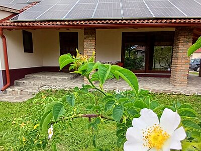 7900 Szigetvár Istvánffy Miklós utca 31. apartman szállás