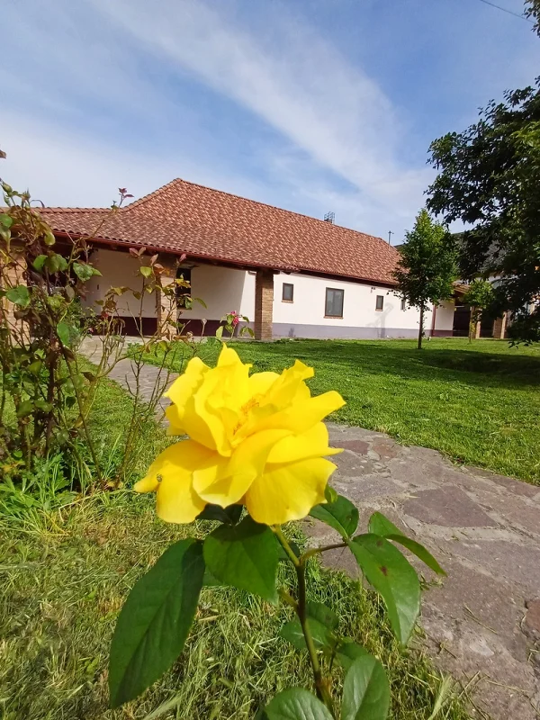 Szigetvár apartman kiadó