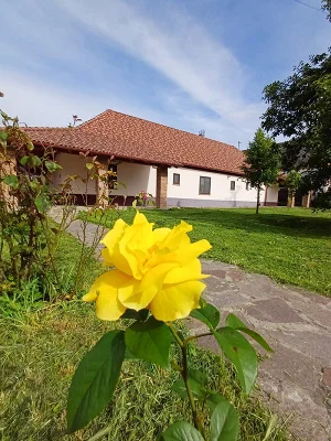 Szigetvár apartman kiadó