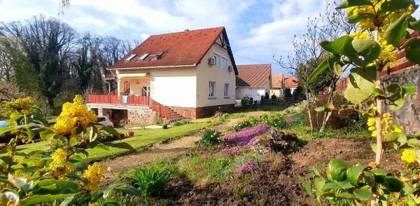 Szigliget apartman kiadó