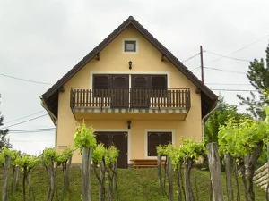 Tihany apartman kiadó