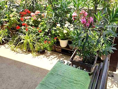 5350 Tiszafüred Ady Endre út 37. apartman szállás