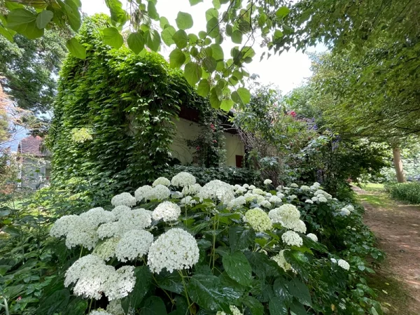 Túristvándi apartman kiadó