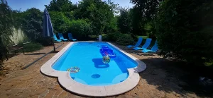 Velence apartman kiadó