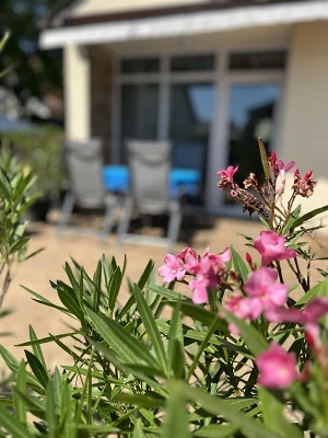 Vonyarcvashegy apartman kiadó