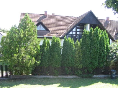 Vonyarcvashegy apartman kiadó