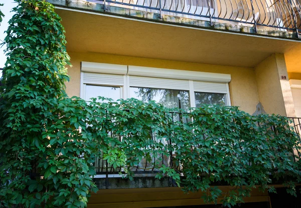 Zamárdi apartman kiadó