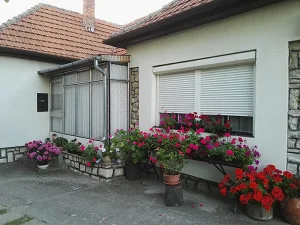Zamárdi apartman kiadó