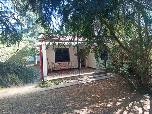 Zamárdi apartman kiadó
